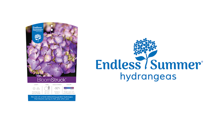 Endless Summer hydrangeas brand receives new visual identity
