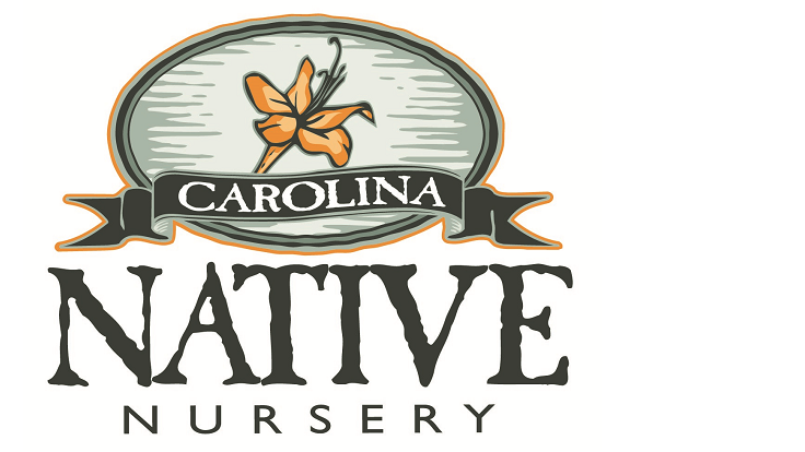 Carolina Native Nursery joins American Beauties