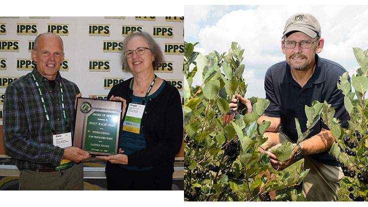 IPPS Eastern Region awards announced 