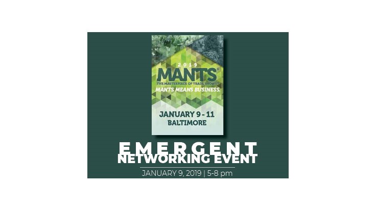 Emergent event set for MANTS 2019