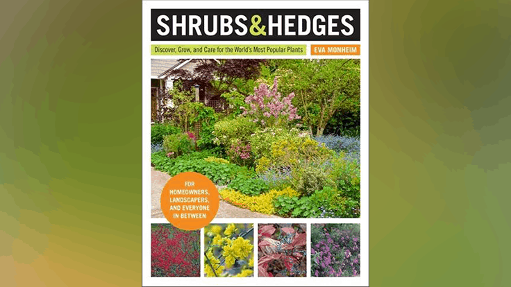 "Shrubs & Hedges" book hits shelves on March 3rd