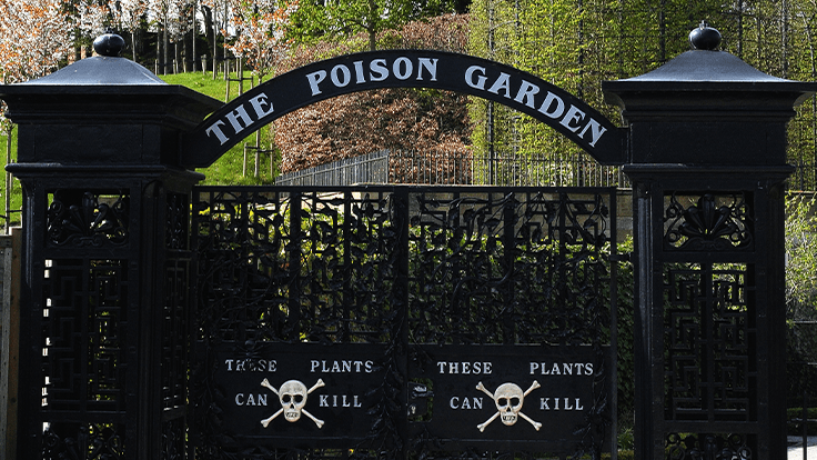 Do you have what it takes to manage the world’s deadliest garden?