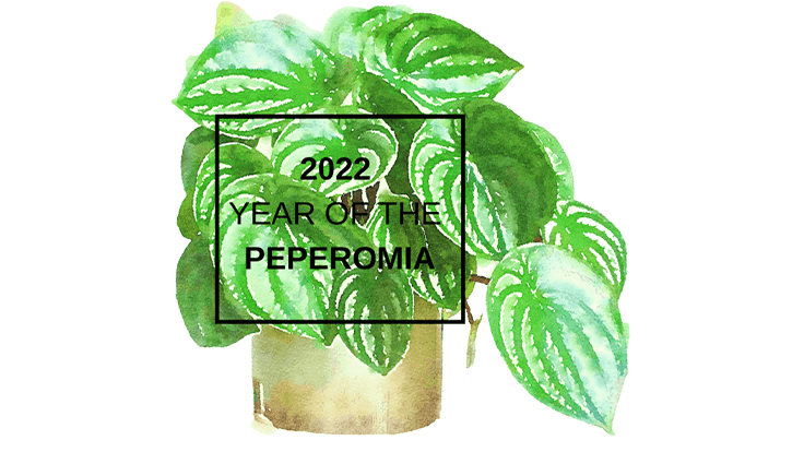 NGB announces houseplant category for “Year of the” program