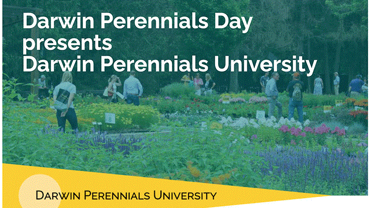Darwin Perennials University is a free perennial training opportunity