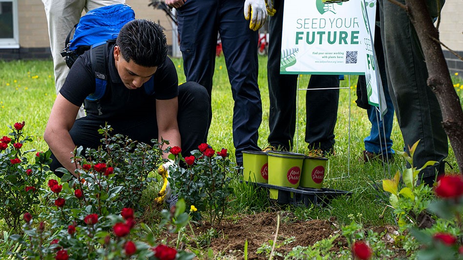 Star Roses and Plants donates 100 plants to Philadelphia area high schools