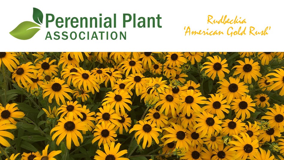 2023 Perennial Plant of the Year announced