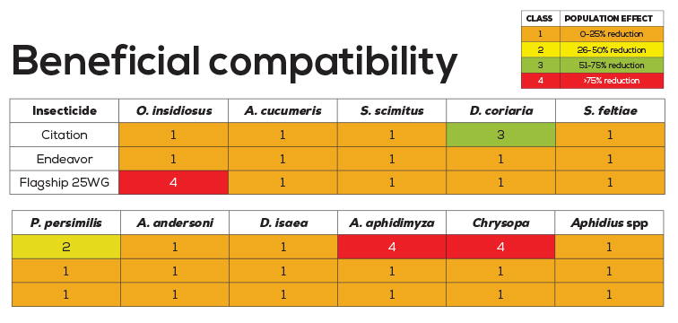 Bauer Concept 3 Compatibility Chart