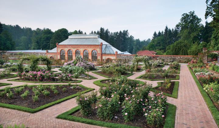 The Biltmore rose garden has been in continuous cultivation since 1895. The trials are located in the public rose garden.