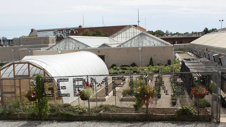 Outside of greenhouse