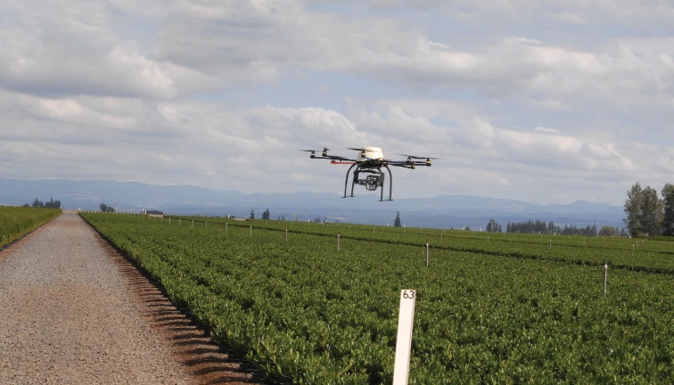 drone flying over field