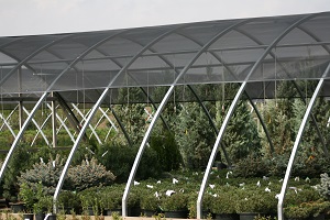 The art of the deal - Nursery Management