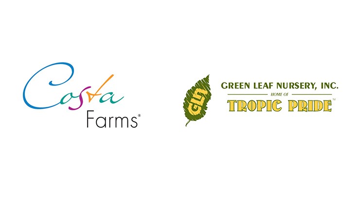 Costa Farms acquires Green Leaf Nursery Nursery Management