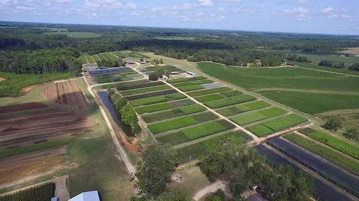 An aerial photo of a nursery