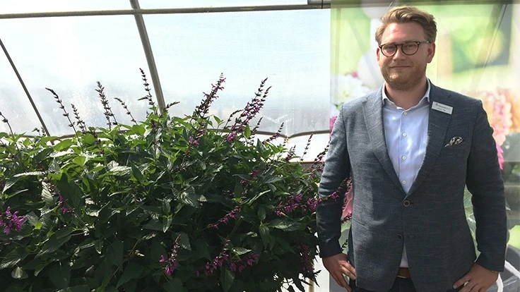 Floris Tas, area manager at HilverdaKooij, standing next to a tall new salvia