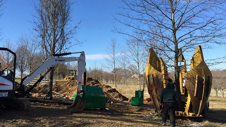 Ruppert's production crews have been trained in machine and hand digging, and transplanting and installing trees up to 14-inch caliper. 