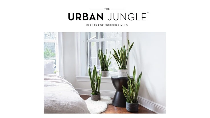 Photo courtesy of The Urban Jungle