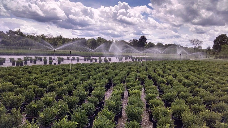 Irrigation at Decker's Nursery, Groveport, OH