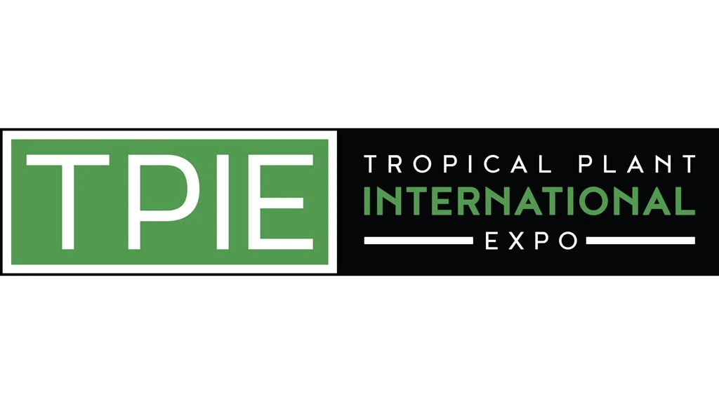 Imagine supplied by TPIE