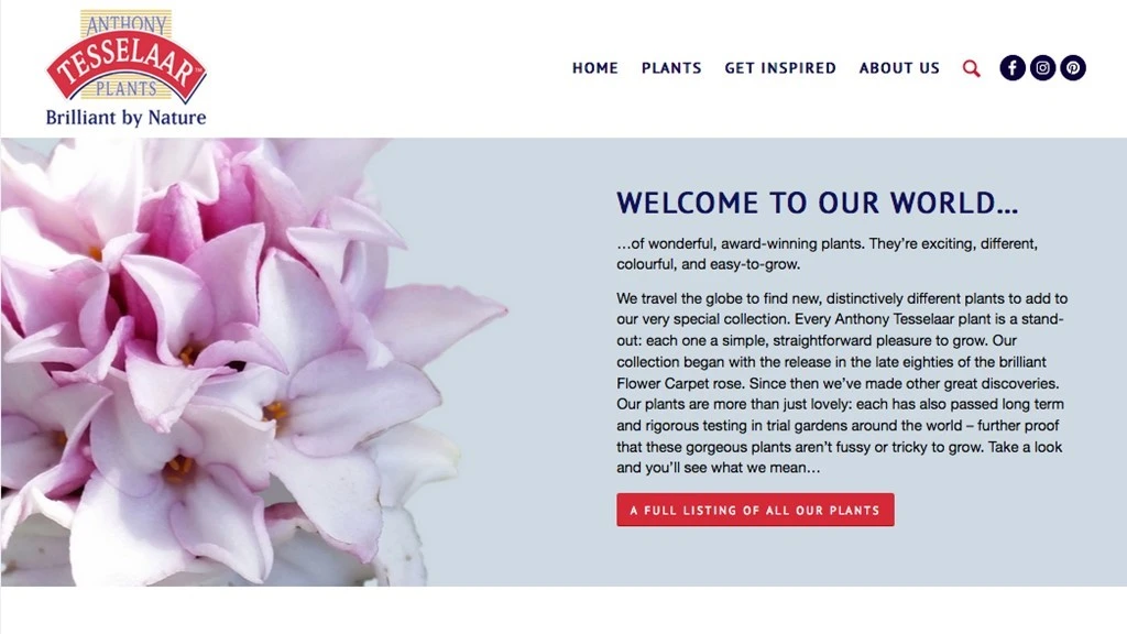 Image provided by Tesselaar