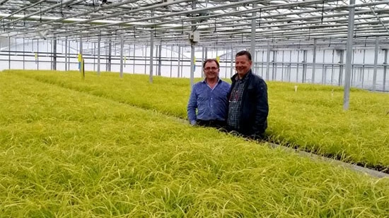 Photo courtesy of Concept Plants