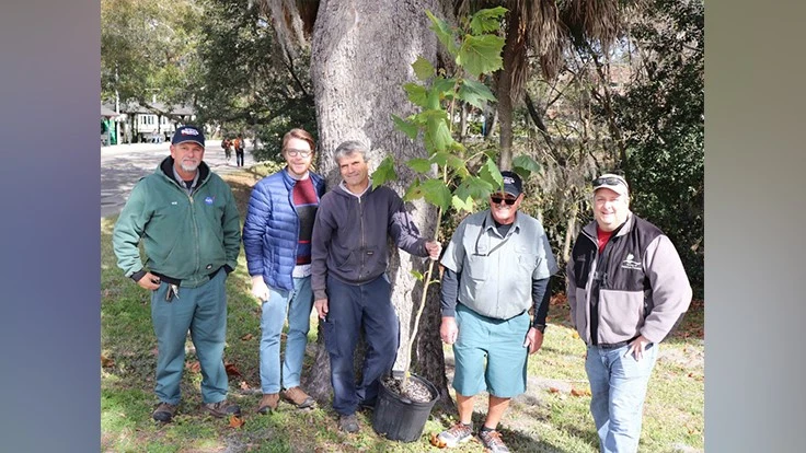 Image courtesy of the UF/IAS blog.