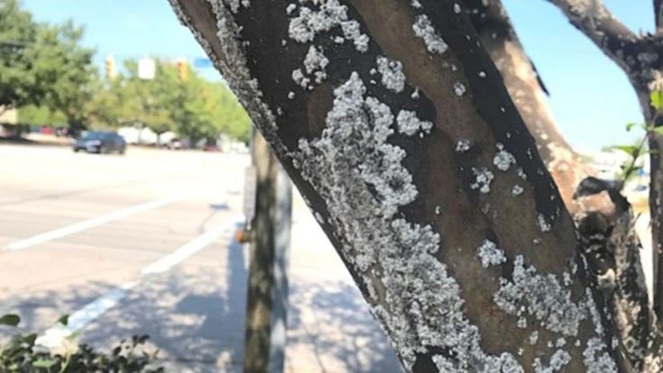 Image courtesy of The Newsstand.