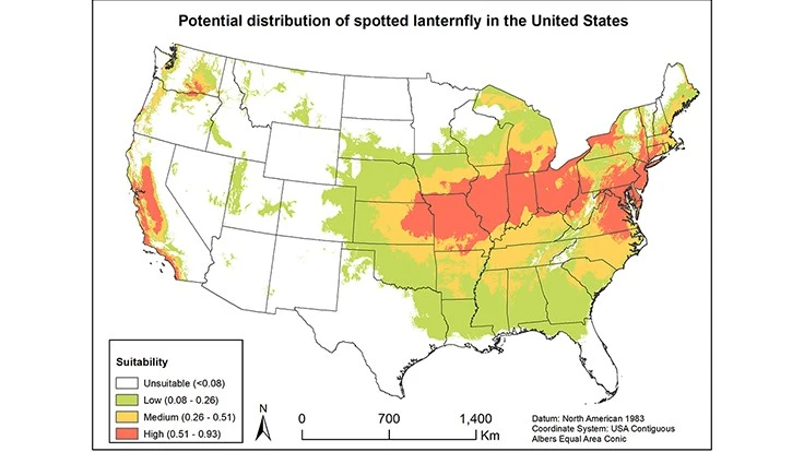 A chart detailing the possible habitat course of the spotted lanternfly.