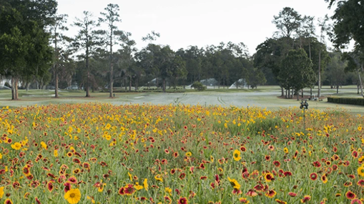 Photo courtesy of UF/IAS.