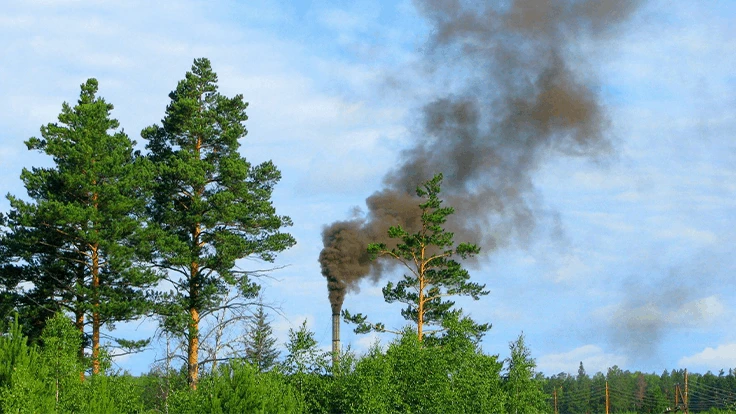 Image courtesy from Ohio State University.