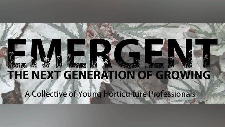 Image courtesy of the Emergent Networking Event.