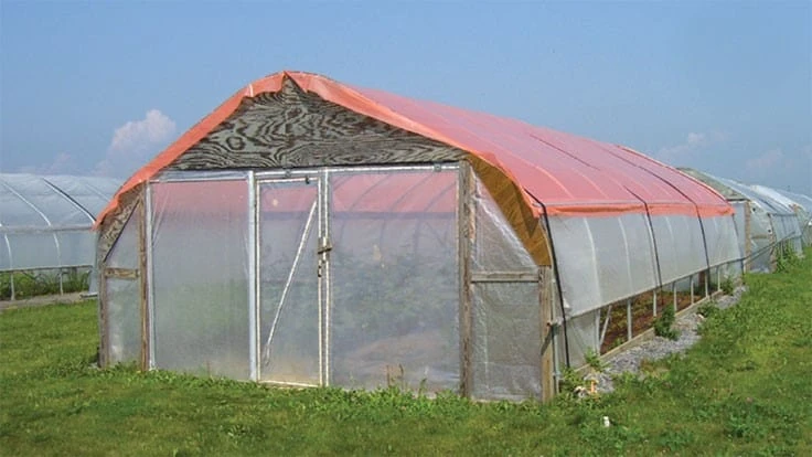 Color shade material can enhance plant growth, increase fruit yields and reduce pest pressure.