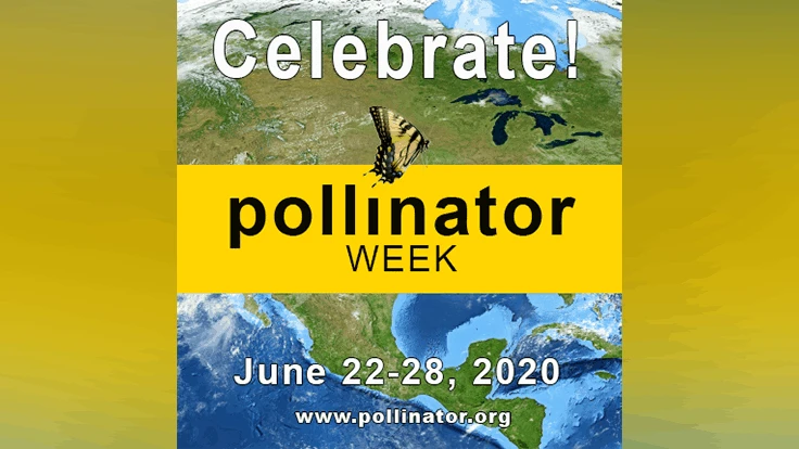 Pollinator Week logo