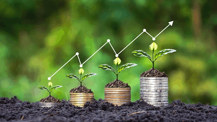 Small seedlings growing on progressively larger stacks of coins, all sitting in black soil.