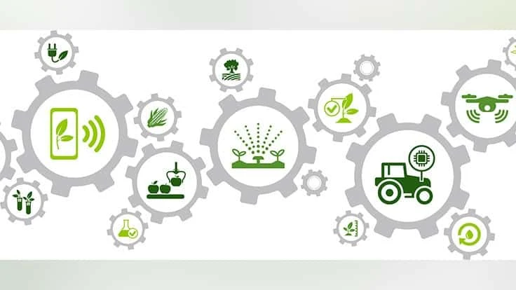 Photo courtesy of Adobe Stock