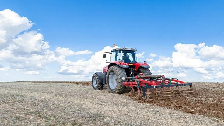 Photo courtesy of Abobe Stock