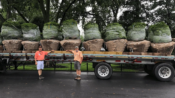 Large ‘Green Beauty’ boxwood waiting to be unloaded at the White House Rose Garden)