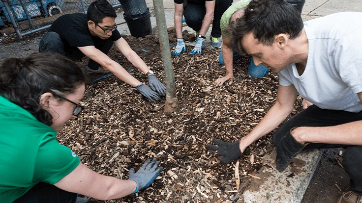 Interested volunteers are encouraged to find a local event in their region and participate in a tree planting, which typically lasts about 2-3 hours on location. 