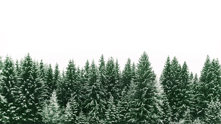 fewerton | AdobeStock