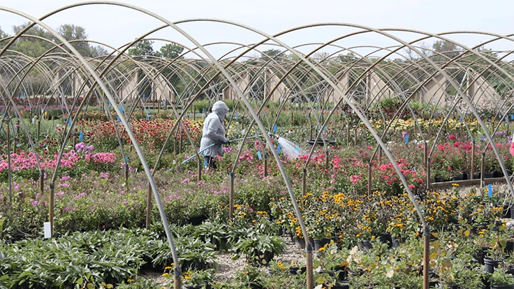 Nursery Management staff