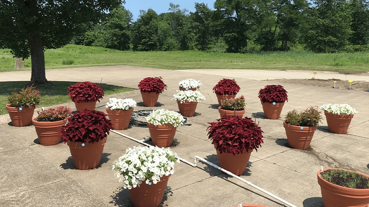 Photo provided by Diane Blazek