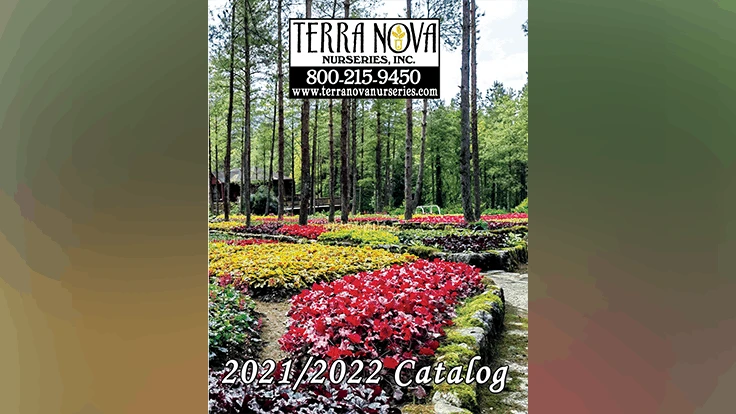 Photo courtesy of Terra Nova Nurseries