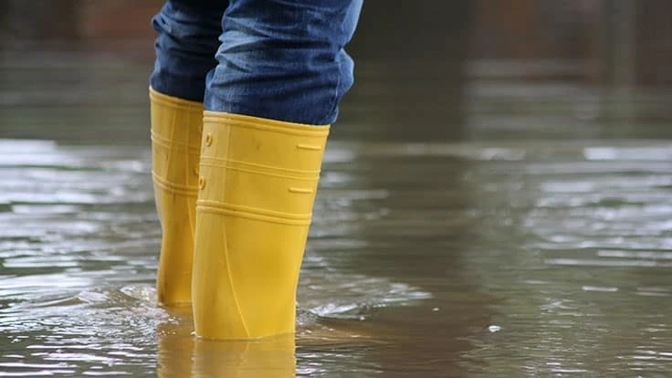 Close-up of yellow rain boots