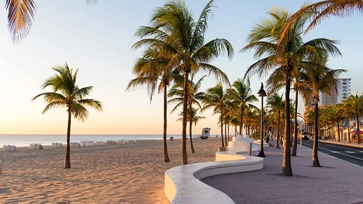 Palm trees along a Ft. Lauderdale causeway