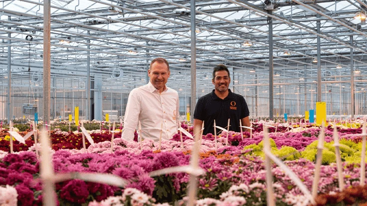 Jeroen Meeder, sales manager benelux annuals & perennials (left) and Hugo Gonzales Dupuy, breeder pot and garden mum