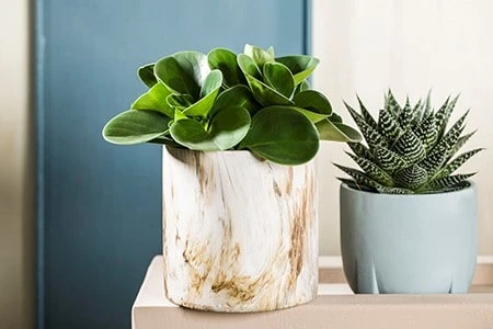 Welcome to the Jungle mix