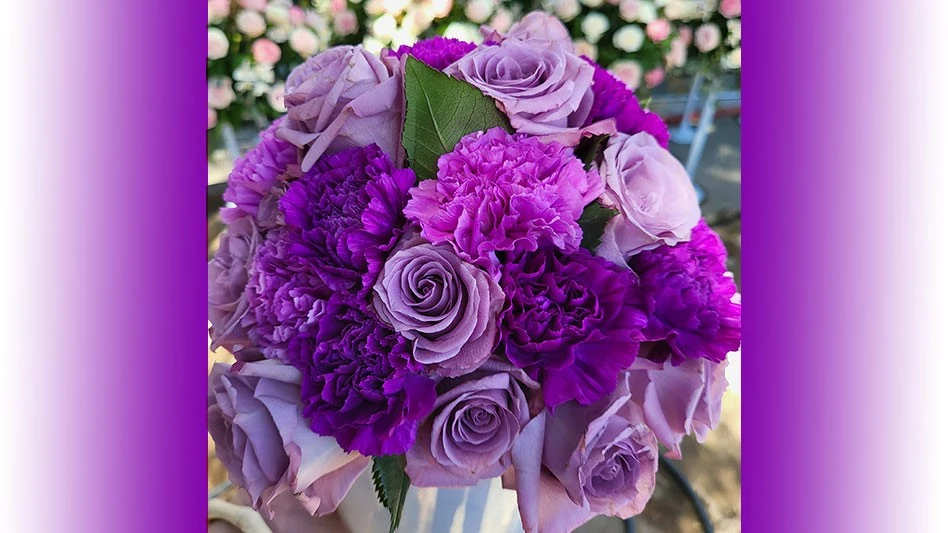 Applause roses with Moon carnations.