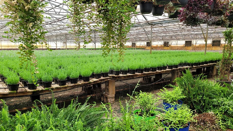 Photo by Chris Markham