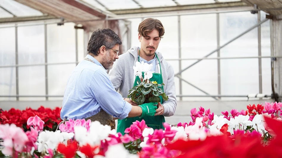 Photo © Stocked House Studio | Adobestock