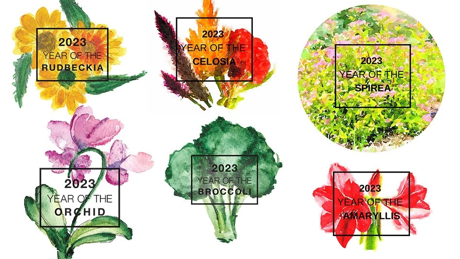 National Garden Bureau