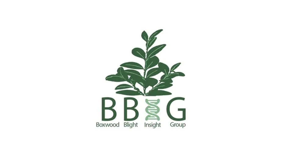 Boxwood Blight Insight Group
